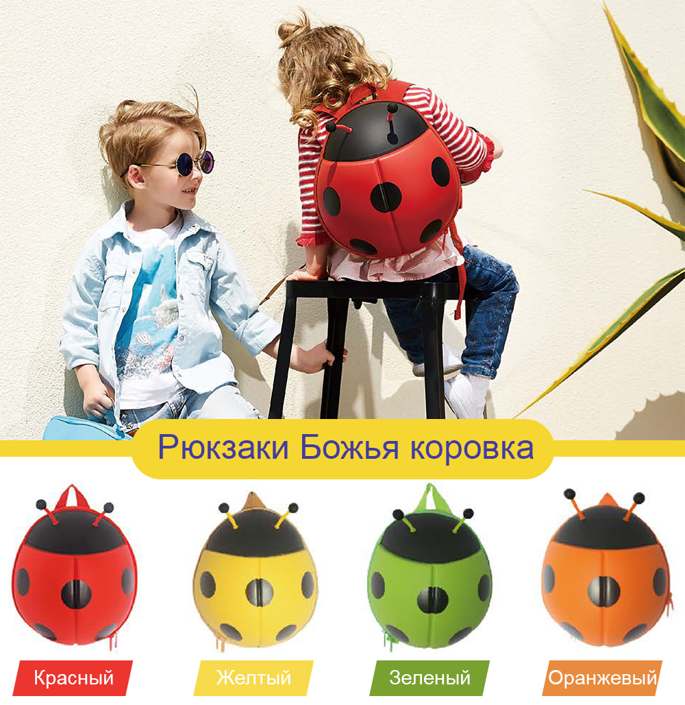 ladybag